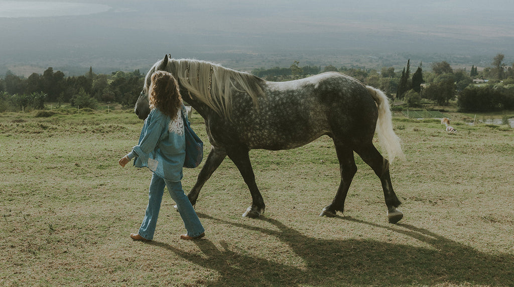 Fall '25- Pacific Paniolo