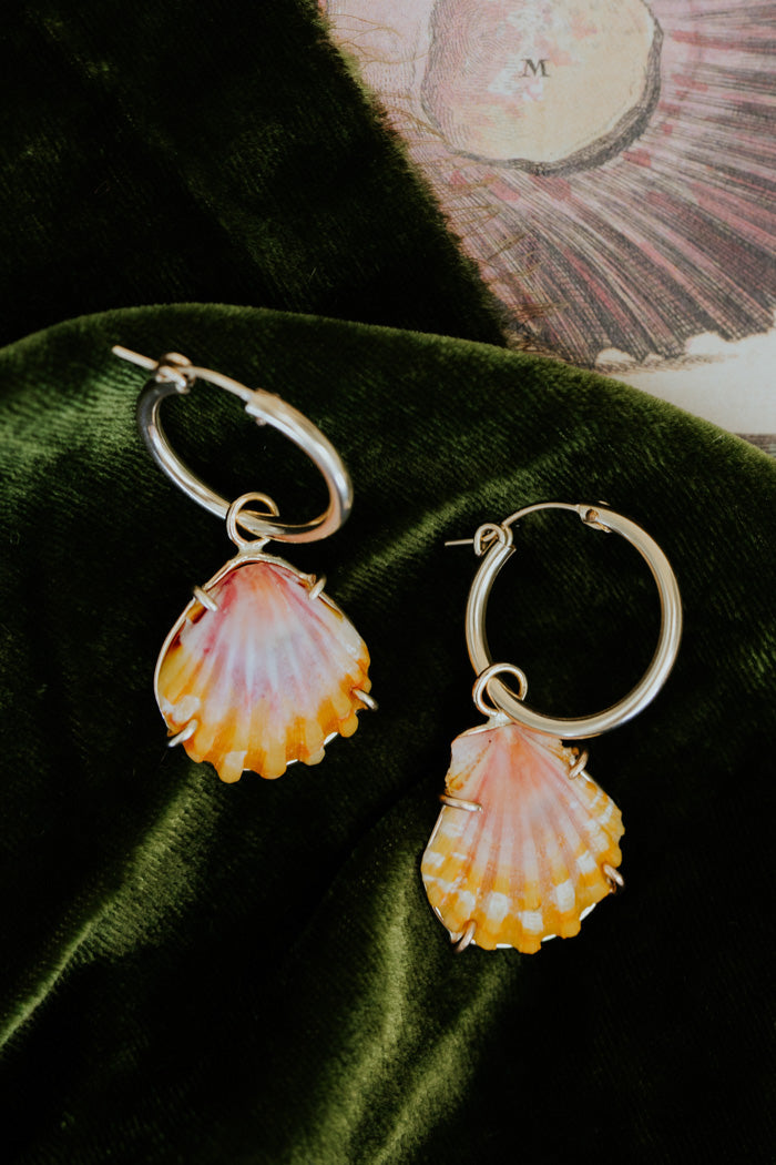 Charm hoop earrings adorned with Hawaiian sunrise shells in gold
