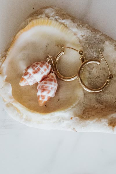 Earring Charms - Miter Shells | 14k