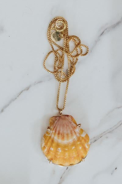 Sunrise Shell Necklace - 18" Chain