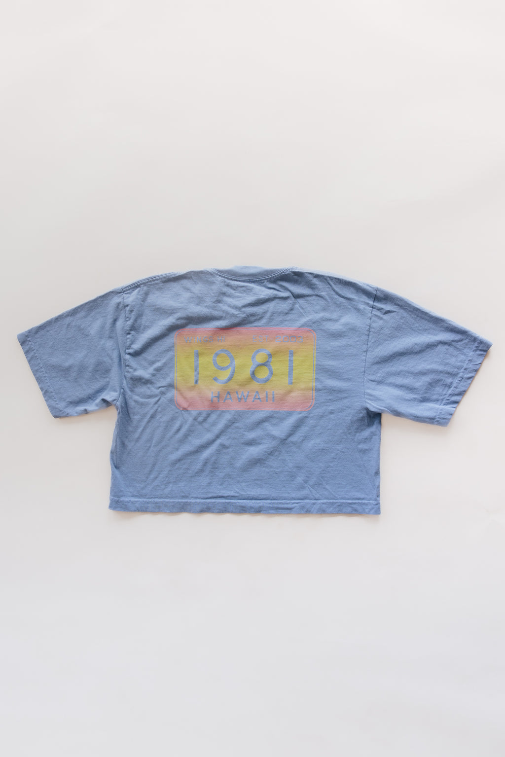 Oversized Cropped Tee - 1981