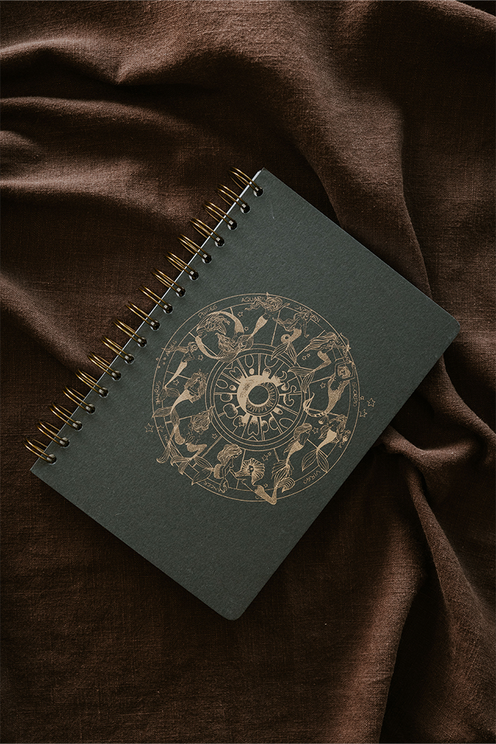 Wings Hawaii zodiac journal - charcoal