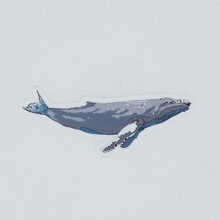 Whale Sticker