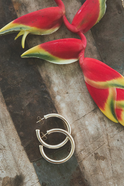The Perfect Hoops | Large