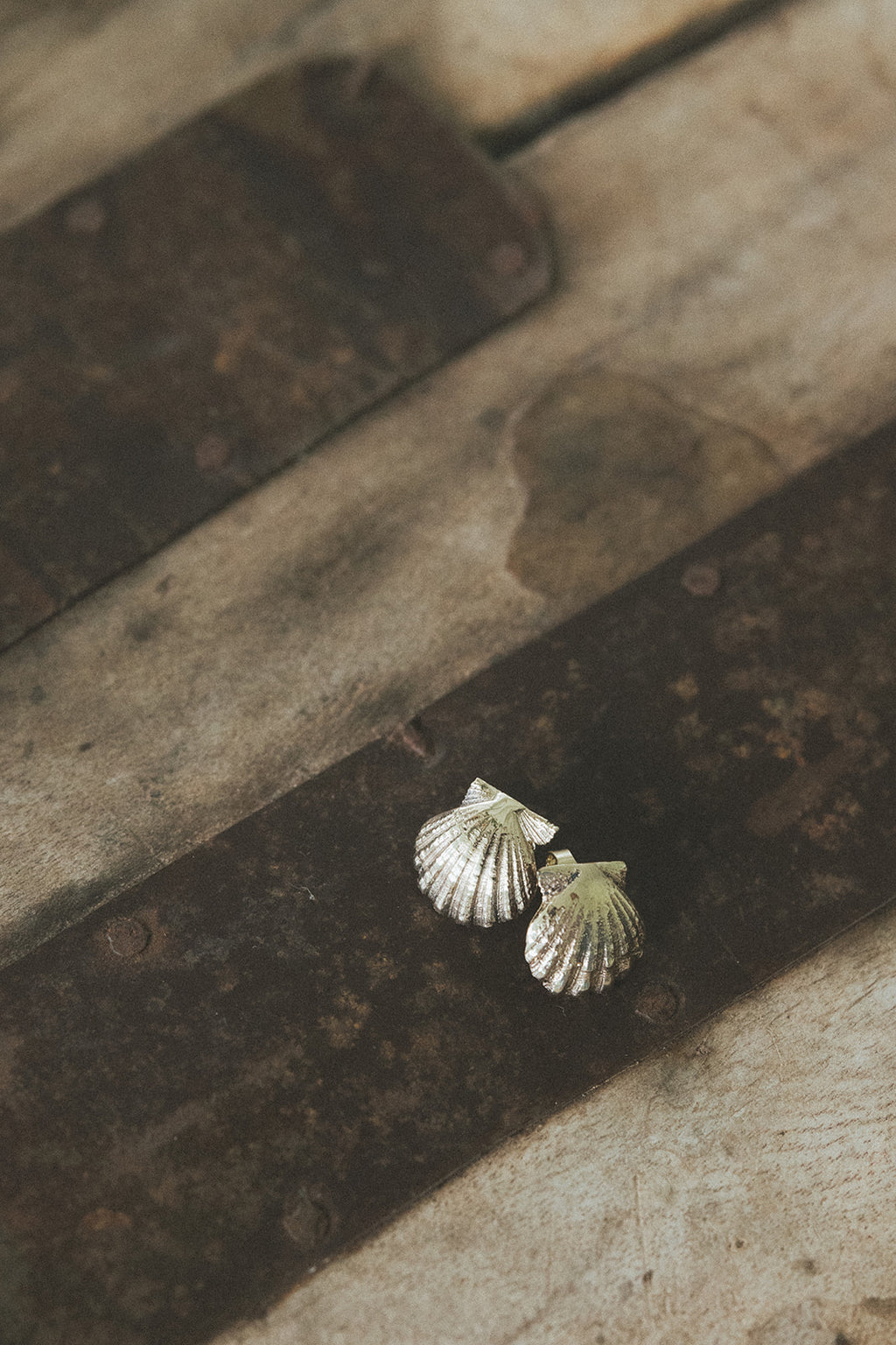 Wings Hawaii Forever Sunrise Shell stud earrings, available in solid 14k gold or sterling silver. Metal castings made from real Hawaiian sunrise shells. Fine jewelry handcrafted with aloha in Maui. 