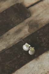 Wings Hawaii Forever Sunrise Shell stud earrings, available in solid 14k gold or sterling silver. Metal castings made from real Hawaiian sunrise shells. Fine jewelry handcrafted with aloha in Maui.  thumbnail
