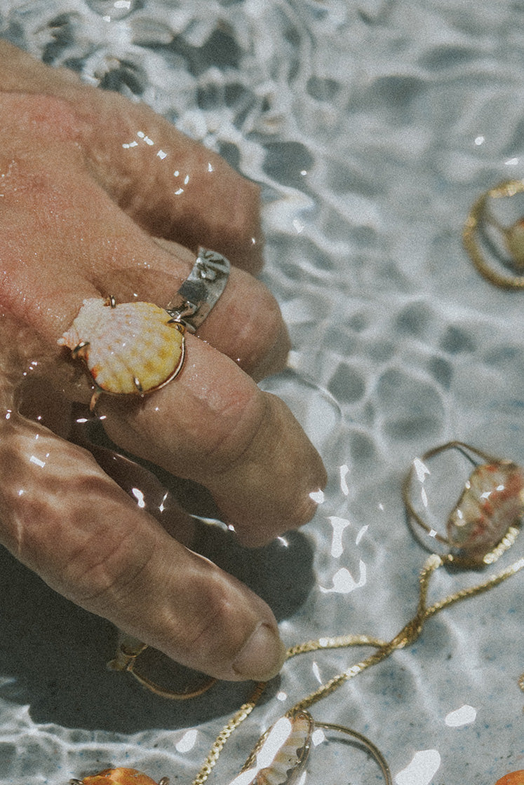 Prong Set Sunrise Shell Ring - GF