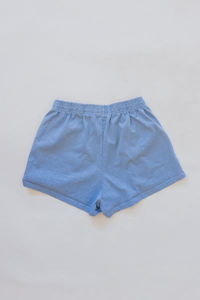 Wings Hawaii Aloha shorts in sky blue - back