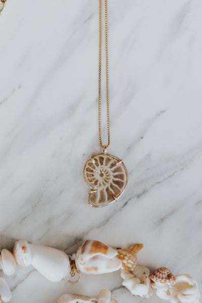 Prong Set Ammonite Necklace | GF