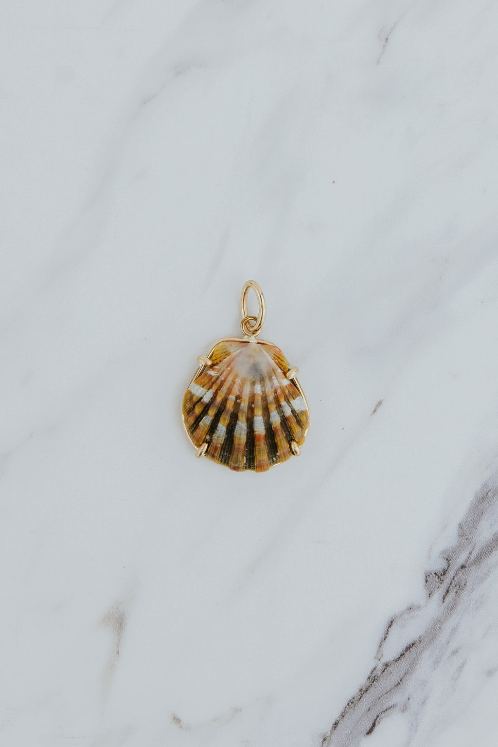 Wings Hawaii Moonrise Shell necklace charm prong-set in 14k gold-fill. Fine jewelry gifts handcrafted with aloha in Maui. Real Moonrise shells found only in Hawaii. Unique island souvenirs. 