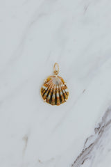 Wings Hawaii Moonrise Shell necklace charm prong-set in 14k gold-fill. Fine jewelry gifts handcrafted with aloha in Maui. Real Moonrise shells found only in Hawaii. Unique island souvenirs.  thumbnail