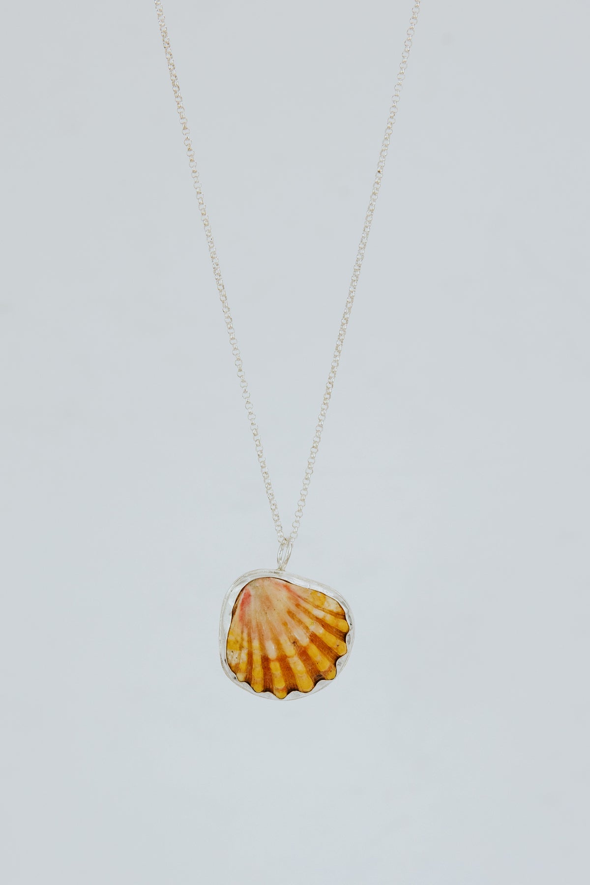 Wings Hawaii bezel-set Sunrise Shell necklace. Authentic, rare Hawaiian beach shell on sterling silver chain necklace. Fine jewelry handmade with aloha on Maui. One of a kind gifts made in Hawaii.