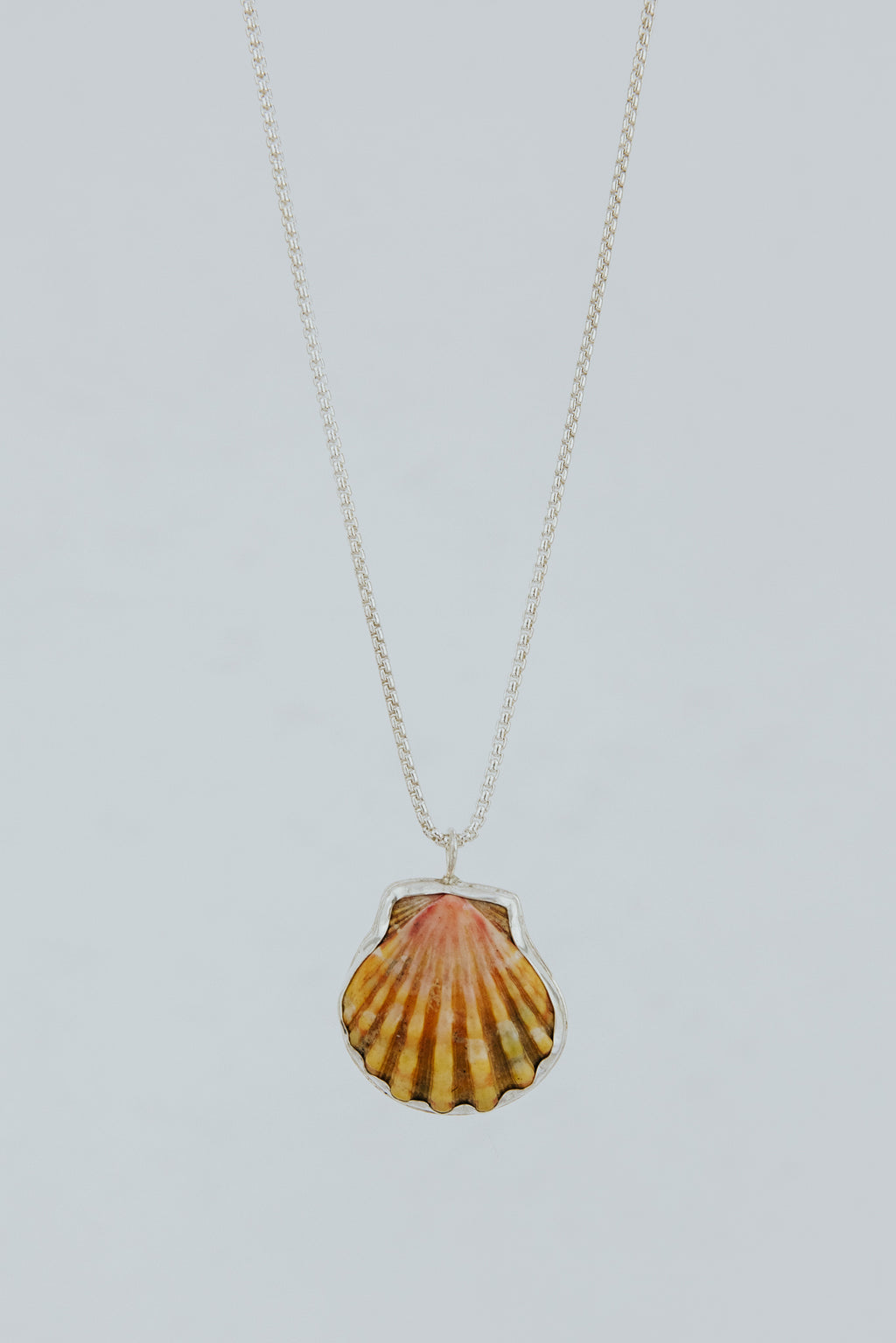 Wings Hawaii bezel-set Sunrise Shell necklace. Authentic, rare Hawaiian beach shell on sterling silver chain necklace. Fine jewelry handmade with aloha on Maui. One of a kind gifts made in Hawaii.