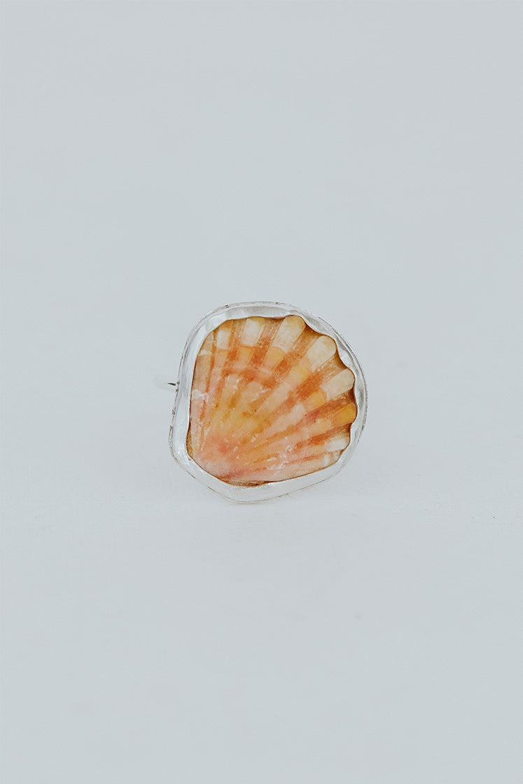 Bezel Set Sunrise Shell Ring
