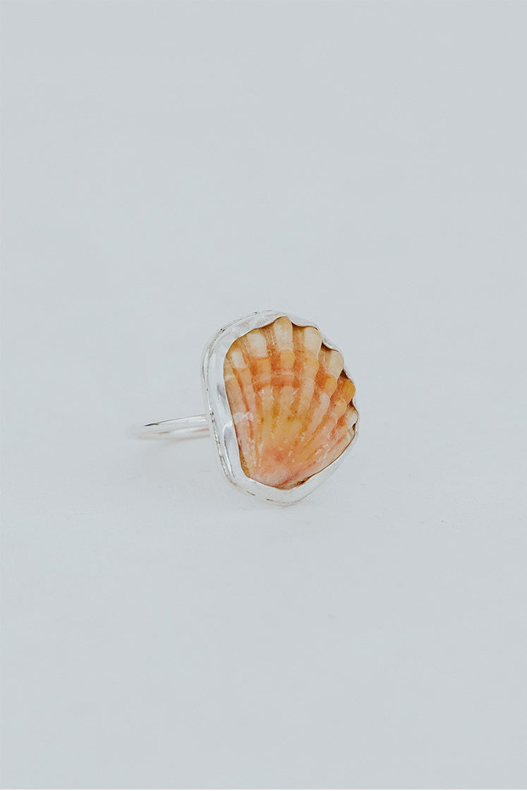 Bezel Set Sunrise Shell Ring