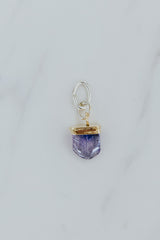 Necklace Charm - Tanzanite | 14k + SS
