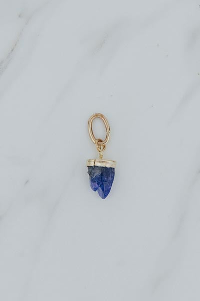 Necklace Charm - Tanzanite | 14k