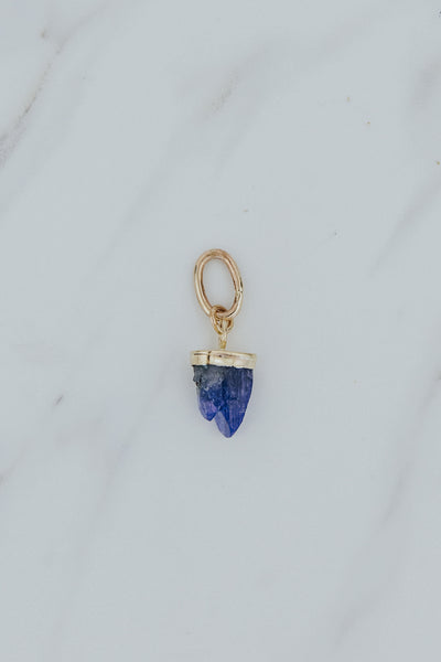 Necklace Charm - Tanzanite | 14k