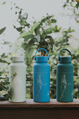 Whale Dance Water Bottle - Teal thumbnail