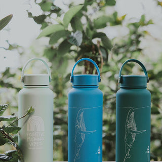 Whale Dance Water Bottle - Teal