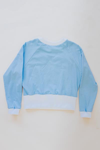 Wings Hawaii Tiger raglan sweatshirt - back