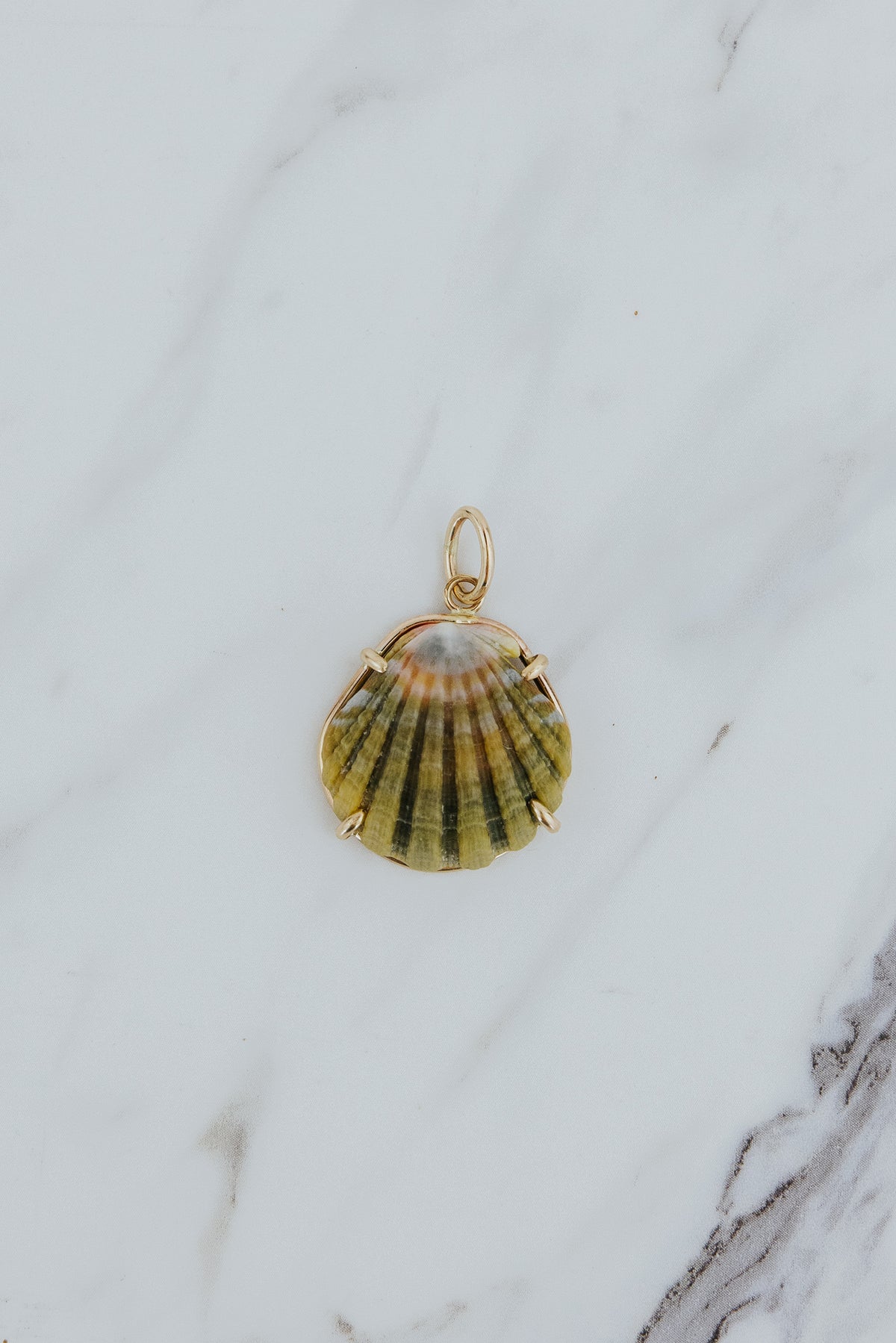 Wings Hawaii Moonrise Shell necklace charm prong-set in 14k gold-fill. Fine jewelry gifts handcrafted with aloha in Maui. Real Moonrise shells found only in Hawaii. Unique island souvenirs. 