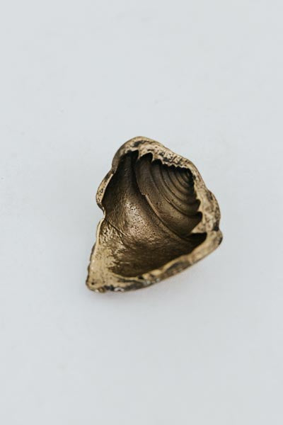 Bronze Shell Jewelry Dishes