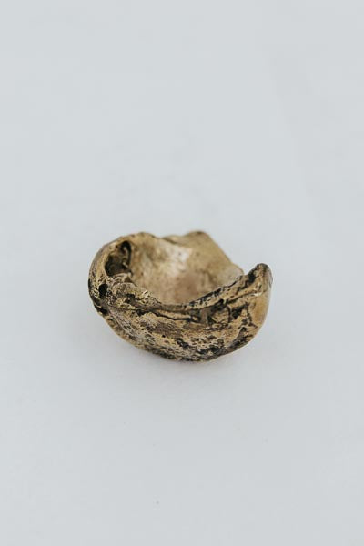 Bronze Shell Jewelry Dishes