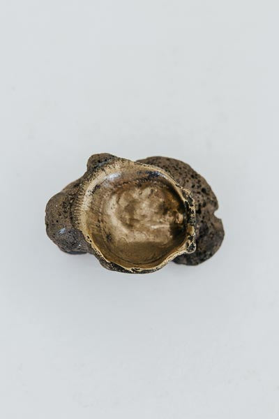 Bronze Shell Jewelry Dishes