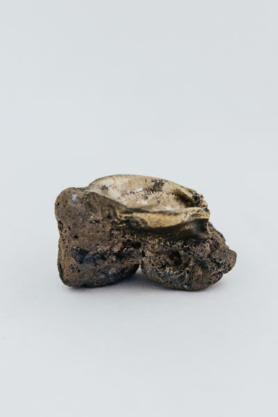 Bronze Shell Jewelry Dishes