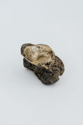 Bronze Shell Jewelry Dishes