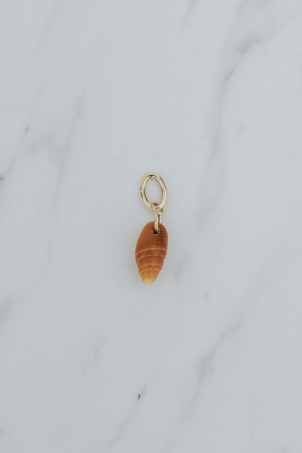 Wings Hawaii brown miter shell necklace charms in 14k gold-filled. Fine jewelry handmade in Maui. Authentic Hawaiian seashells for beach-chic charm necklaces. 