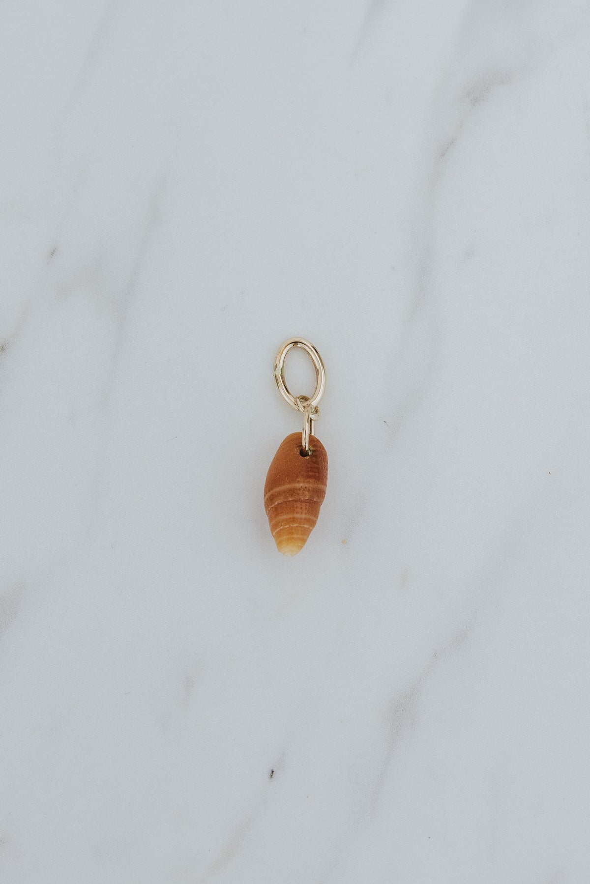 Wings Hawaii brown miter shell necklace charms in 14k gold-filled. Fine jewelry handmade in Maui. Authentic Hawaiian seashells for beach-chic charm necklaces. 