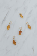 Wings Hawaii brown miter shell necklace charms in 14k gold-filled. Fine jewelry handmade in Maui. Authentic Hawaiian seashells for beach-chic charm necklaces. 