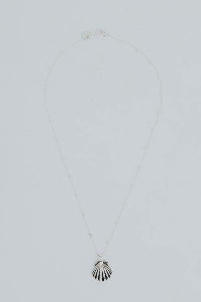 Forever Sunrise Shell Necklace