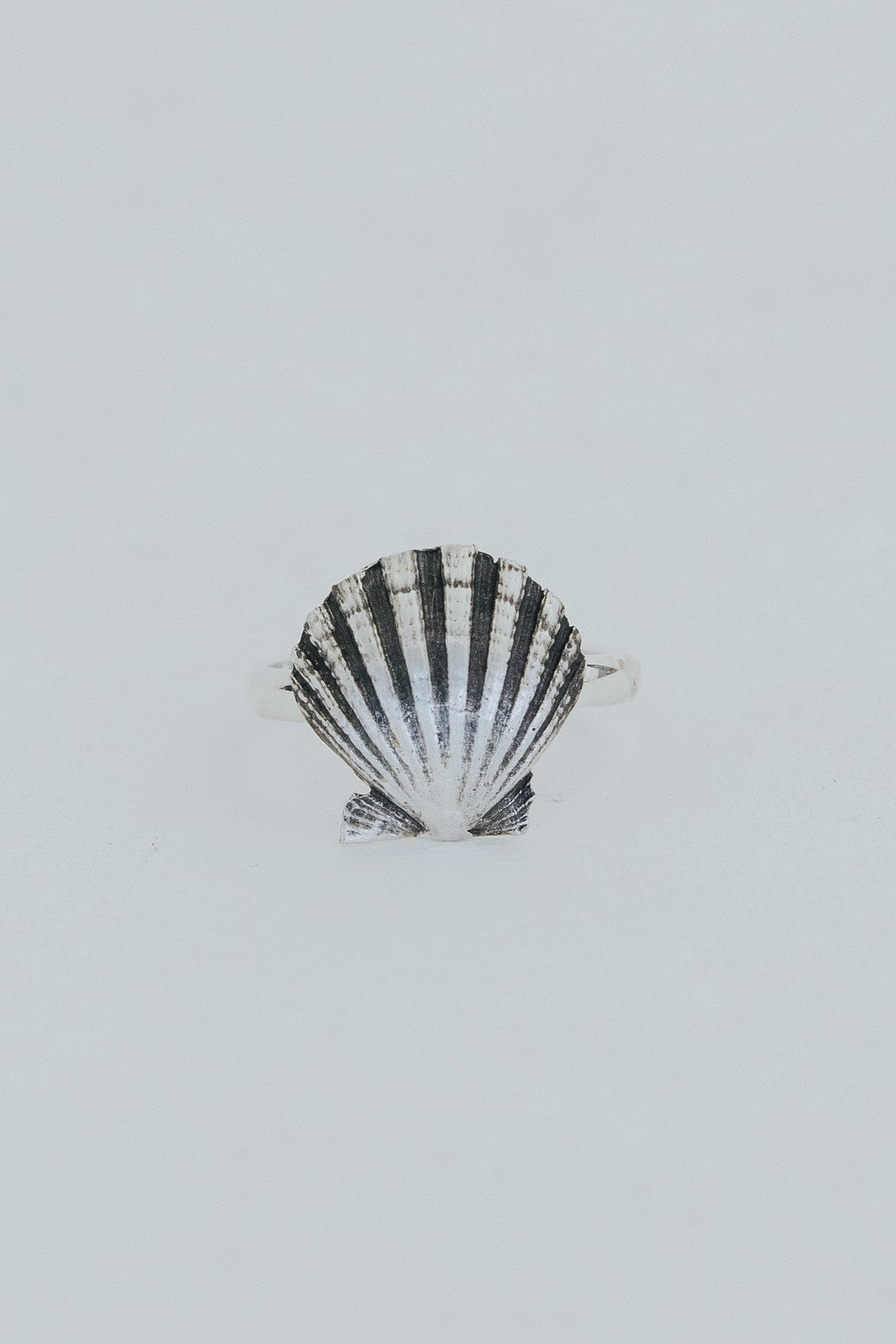 Forever Sunrise Shell Ring