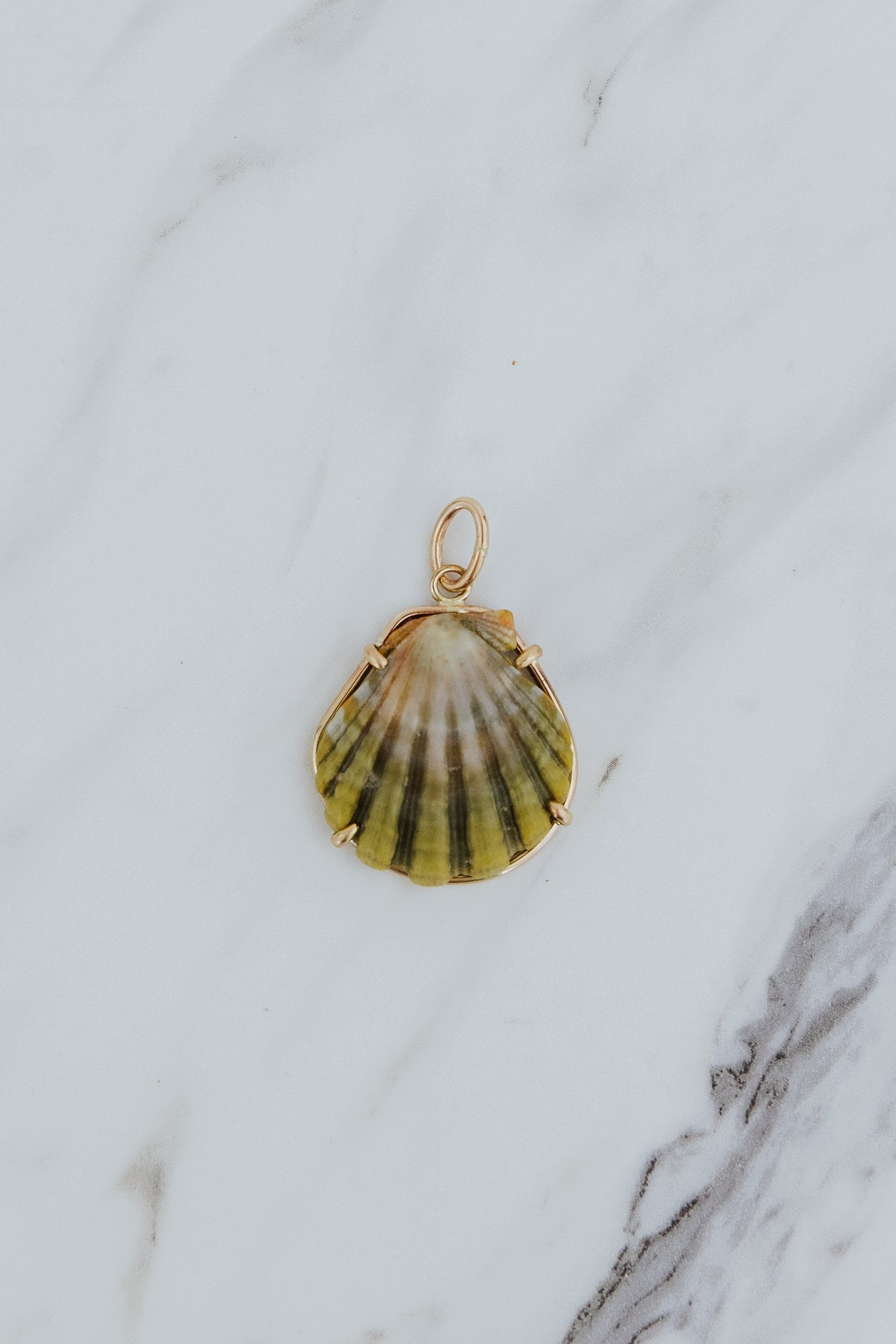 Wings Hawaii Moonrise Shell necklace charm prong-set in 14k gold-fill. Fine jewelry gifts handcrafted with aloha in Maui. Real Moonrise shells found only in Hawaii. Unique island souvenirs. 