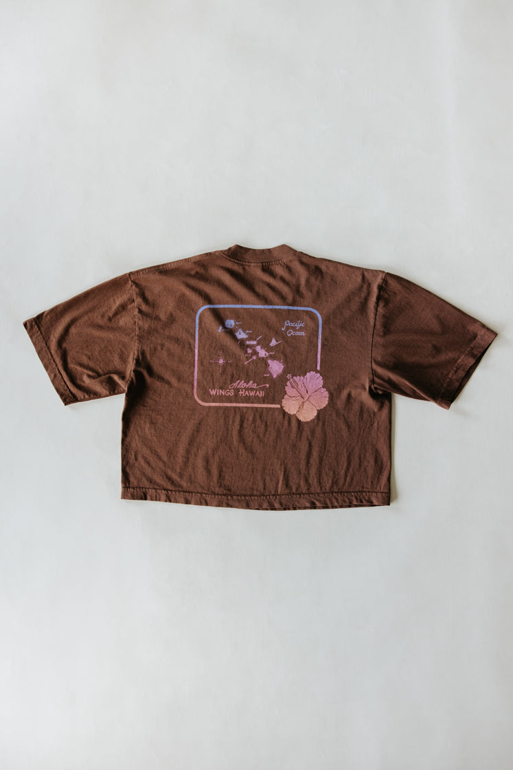 Oversized Cropped Tee - Island Map