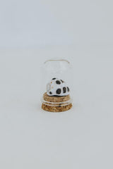 Curiosity Dome Jars thumbnail