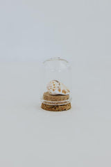 Curiosity Dome Jars thumbnail