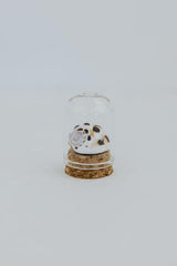 Curiosity Dome Jars thumbnail