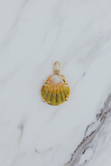 Wings Hawaii Moonrise Shell necklace charm prong-set in 14k gold-fill. Fine jewelry gifts handcrafted with aloha in Maui. Real Moonrise shells found only in Hawaii. Unique island souvenirs.  thumbnail