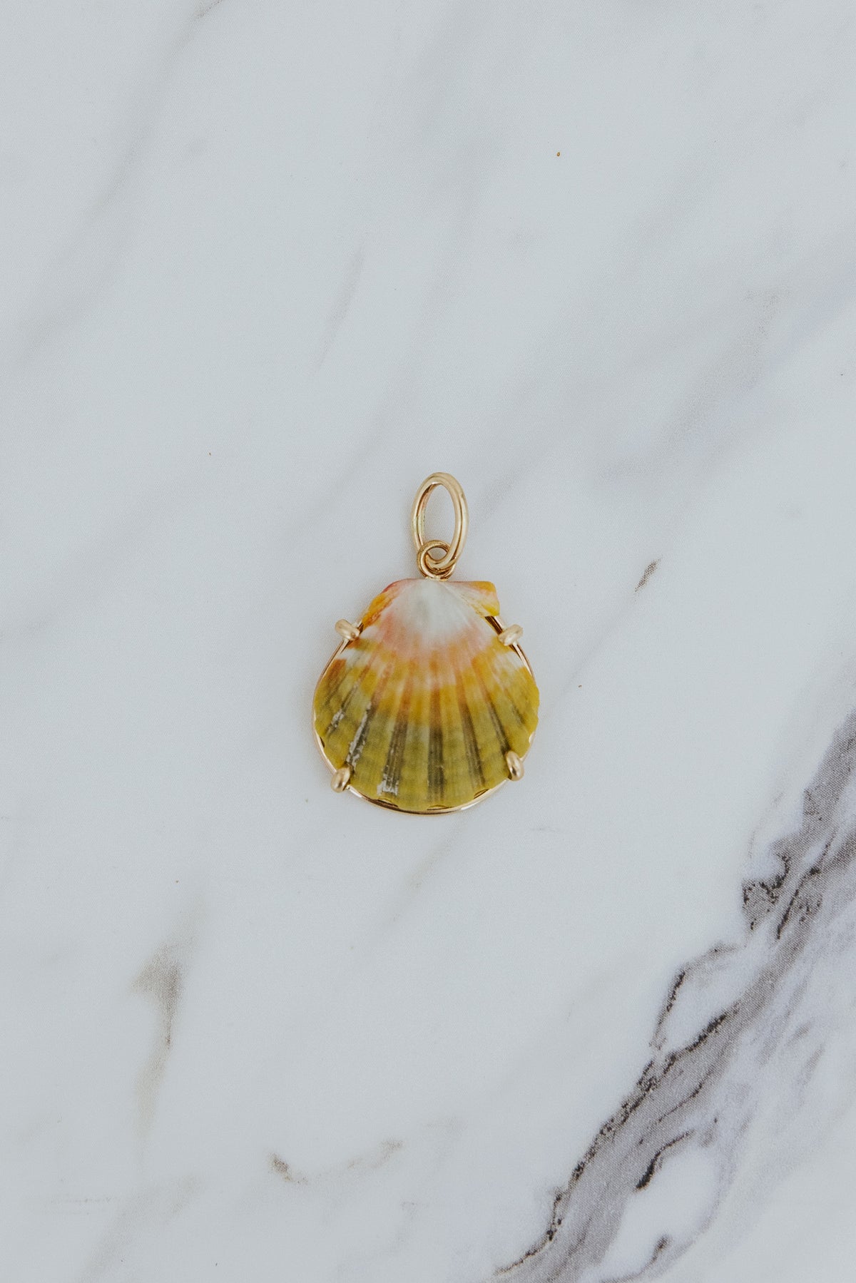 Wings Hawaii Moonrise Shell necklace charm prong-set in 14k gold-fill. Fine jewelry gifts handcrafted with aloha in Maui. Real Moonrise shells found only in Hawaii. Unique island souvenirs. 