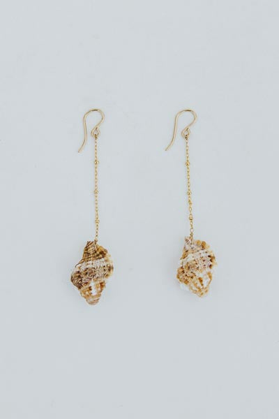 Shell Drop Chain Earrings - Triton Shell