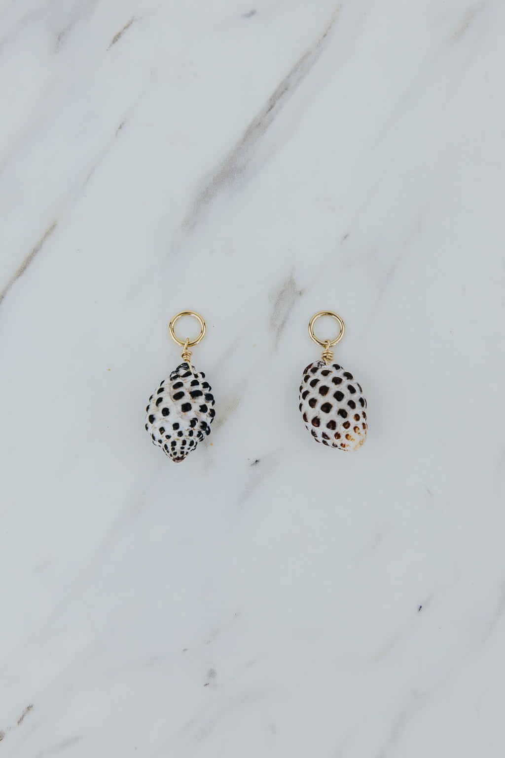 Earring Charms - Drupe Shells