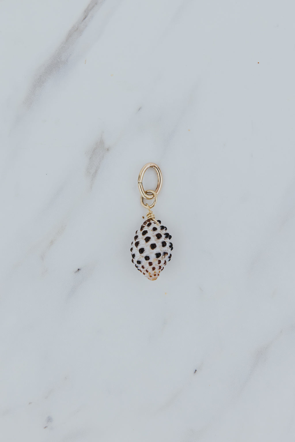Wings Hawaii drupe shell necklace charm in 14k gold fill. Fine jewelry handmade in Maui. Black and white spotted authentic Hawaiian seashell. 
