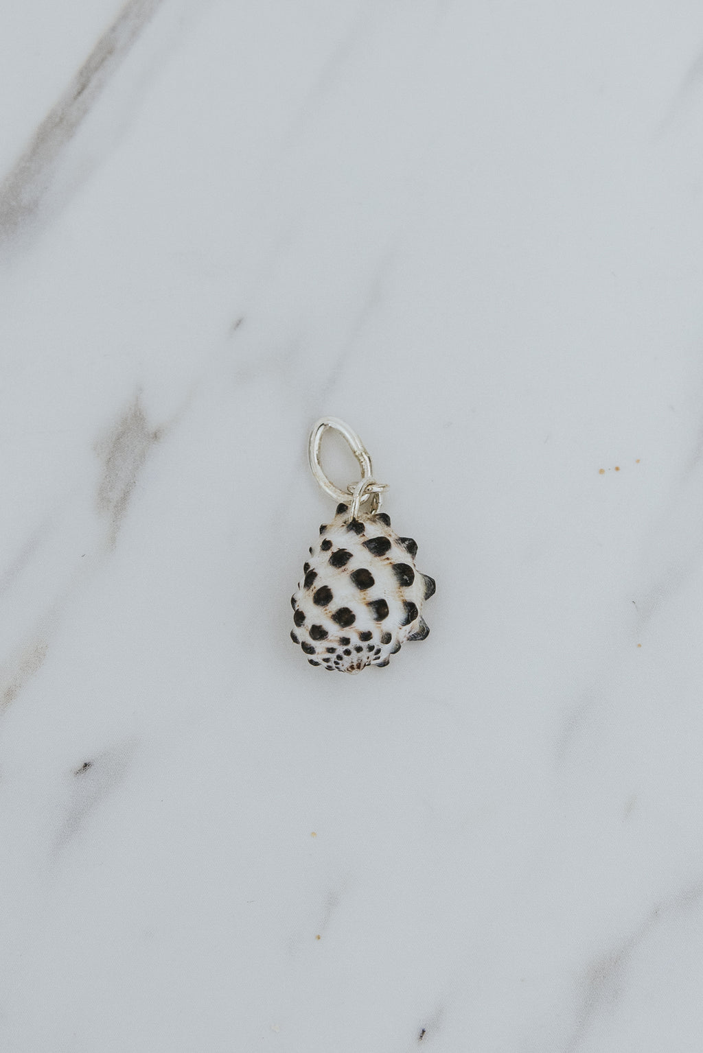 Necklace Charm - Veil Drupe Shell