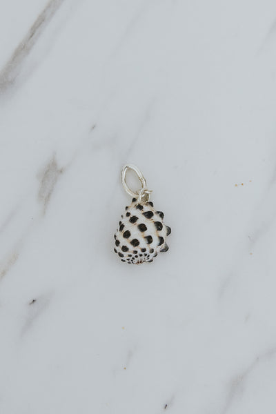 Necklace Charm - Veil Drupe Shell