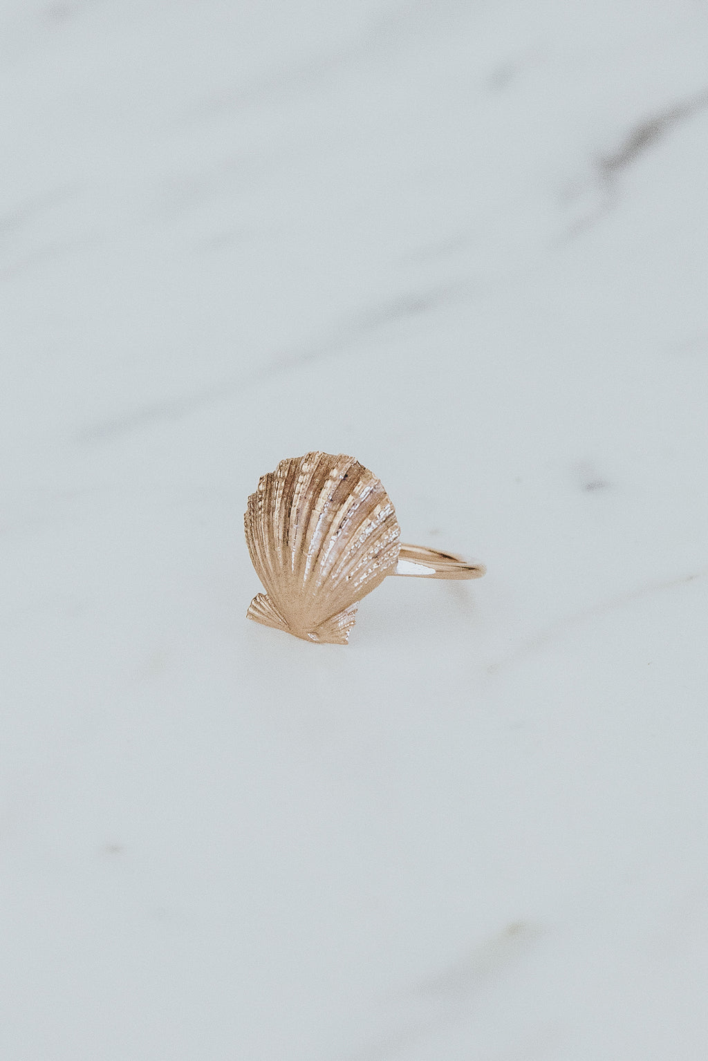 Forever Sunrise Shell Ring