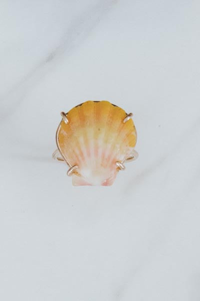 Prong Set Sunrise Shell Ring - GF